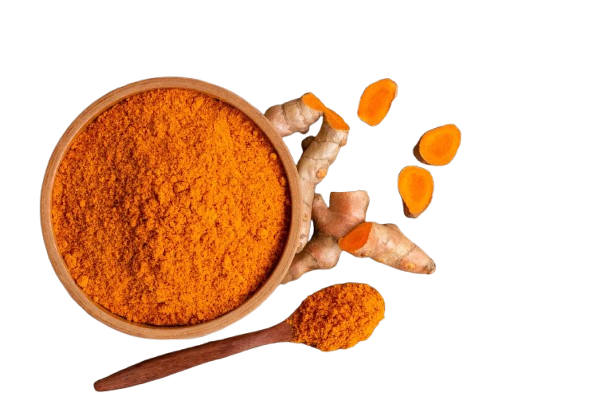 whatsapp image 2025 11 09 at 9.34.59 pm 1 removebg preview